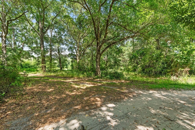 87 Pecan Dr, Freeport, FL 32439 - photo 3
