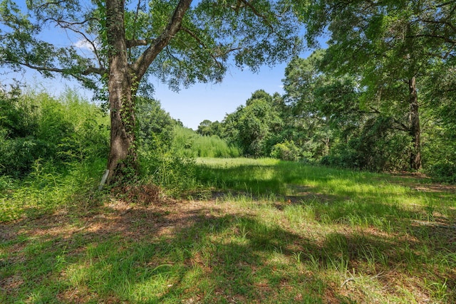 87 Pecan Dr, Freeport, FL 32439 - photo 5