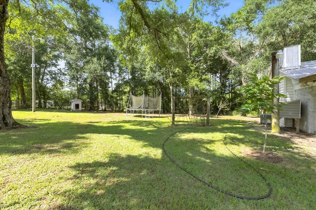 3774 Laird Rd, Crestview, FL 32539 - view of green lawn with a trampoline and a storage unit