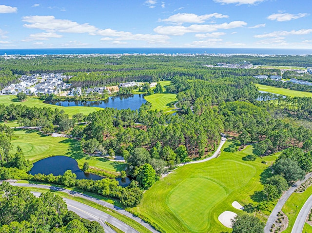 128 Ravine Rd, Watersound, FL 32461 - bird's eye view of a large body of water