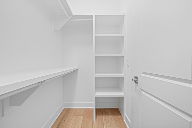 128 Ravine Rd, Watersound, FL 32461 - spacious closet featuring light wood-style flooring