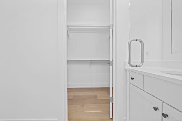 128 Ravine Rd, Watersound, FL 32461 - spacious closet with light wood-style flooring and a sink