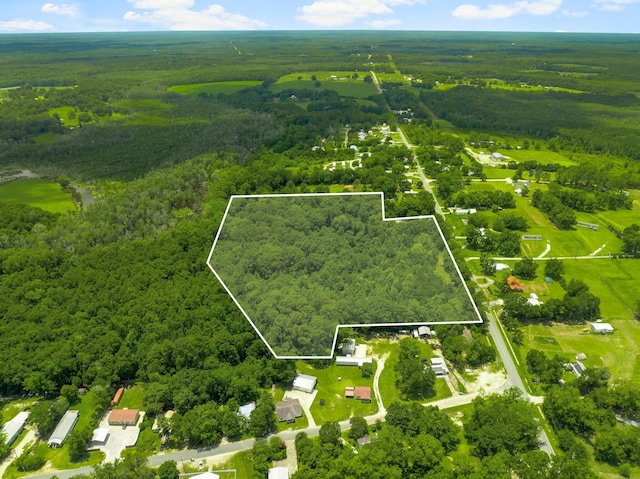 Land Highway 177-a, Bonifay, FL 32425 - photo 1