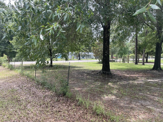 159 Michigan Ln, Defuniak Springs, FL 32433 - view of yard