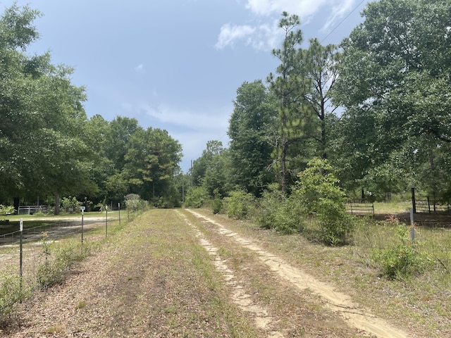 159 Michigan Ln, Defuniak Springs, FL 32433 - view of dirt / gravel road