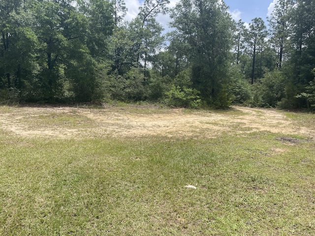 159 Michigan Ln, Defuniak Springs, FL 32433 - view of undeveloped land