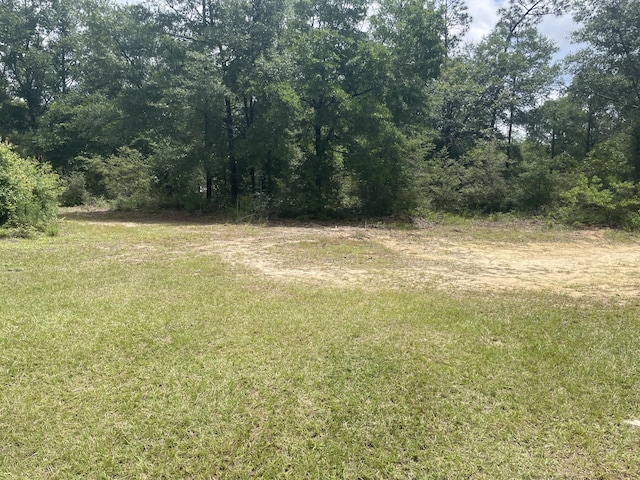 159 Michigan Ln, Defuniak Springs, FL 32433 - view of nature
