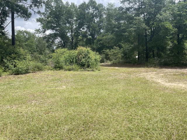 159 Michigan Ln, Defuniak Springs, FL 32433 - view of green lawn
