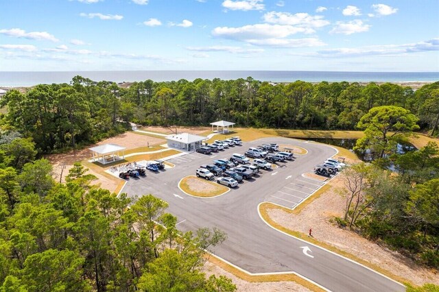 61 Dune Comet Ln Unit B, Inlet Beach, FL 32461 - photo 50