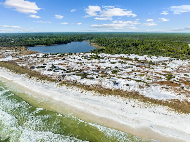 61 Dune Comet Ln Unit B, Inlet Beach, FL 32461 - photo 54