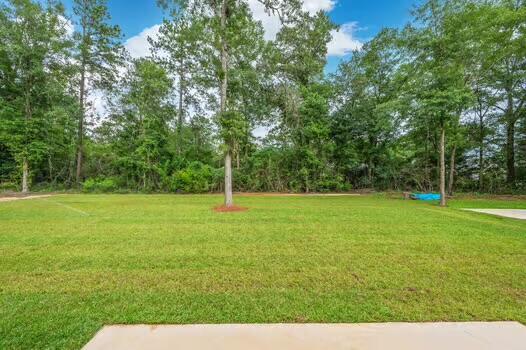 6014 Paige Ln, Crestview, FL 32536 - photo 66