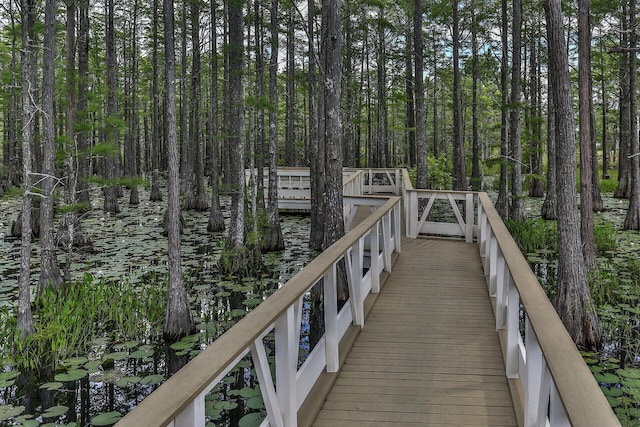 22 Cypress Rdg, Santa Rosa Beach, FL 32459 - view of dock