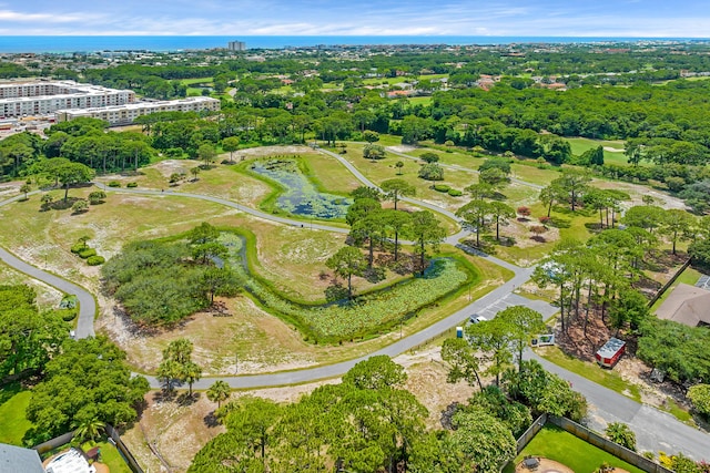 30 Walton Way, Miramar Beach, FL 32550 - photo 59