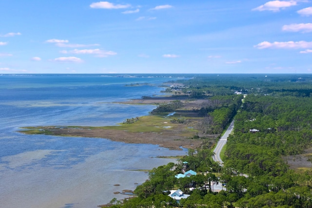 4330 State Road 30a Rd, Port St Joe, FL 32456 - photo 2