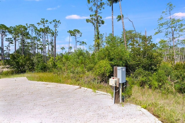 4330 State Road 30a Rd, Port St Joe, FL 32456 - photo 9