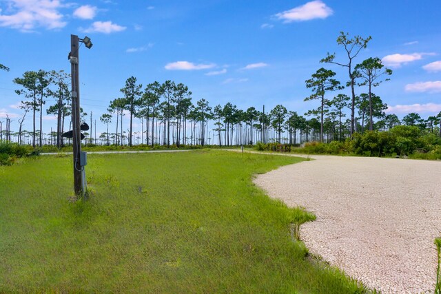 4330 State Road 30a Rd, Port St Joe, FL 32456 - photo 10