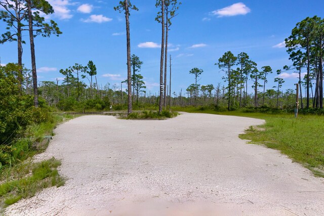 4330 State Road 30a Rd, Port St Joe, FL 32456 - photo 11