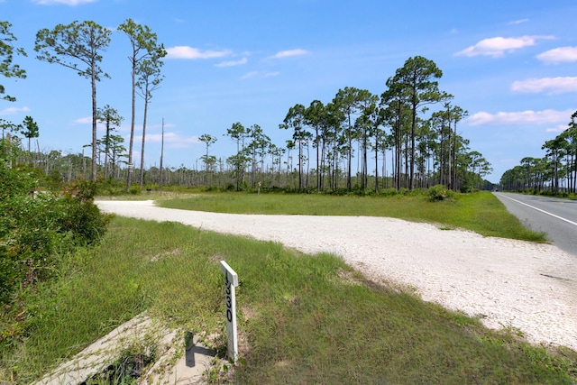 4330 State Road 30a Rd, Port St Joe, FL 32456 - photo 12