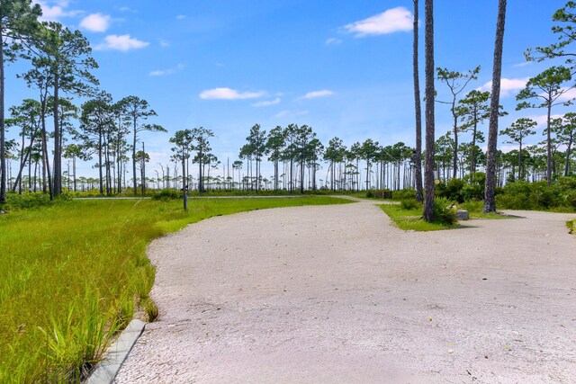 4330 State Road 30a Rd, Port St Joe, FL 32456 - photo 14