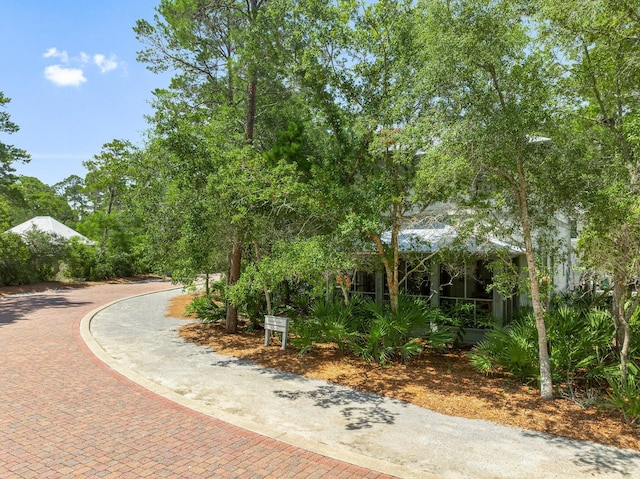 499 Patina Blvd, Inlet Beach, FL 32461 - surrounding community with decorative driveway