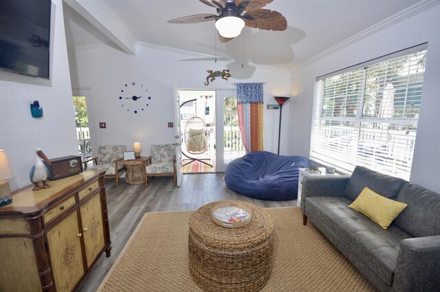 58 Los Angeles St, Miramar Beach, FL 32550 - photo 9