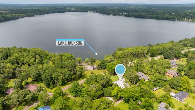 23243 Fourth Ave, Florala, AL 36442 - photo 3