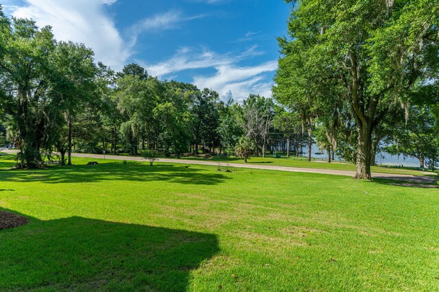 23243 Fourth Ave, Florala, AL 36442 - photo 56