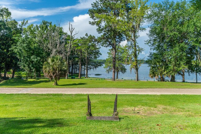 23243 Fourth Ave, Florala, AL 36442 - photo 57