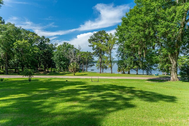 23243 Fourth Ave, Florala, AL 36442 - photo 58