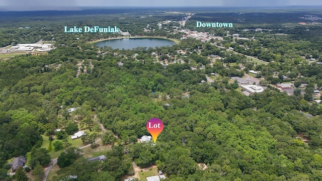 41AC Meadowbrook Ln, Defuniak Springs, FL 32435