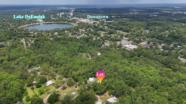 41AC Meadowbrook Ln, Defuniak Springs, FL 32435