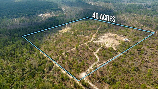 6150 Sherman Kennedy Rd, Baker, FL 32531 - photo 3