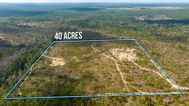 6150 Sherman Kennedy Rd, Baker, FL 32531 - photo 24