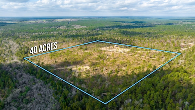 6150 Sherman Kennedy Rd, Baker, FL 32531 - photo 25