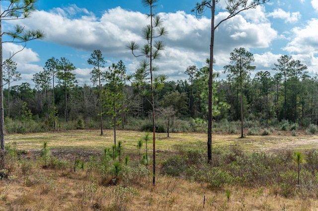 6150 Sherman Kennedy Rd, Baker, FL 32531 - photo 28