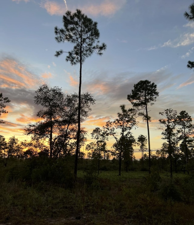 6150 Sherman Kennedy Rd, Baker, FL 32531 - photo 30