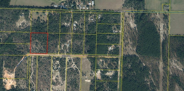 000 Deer Trl Ct, Defuniak Springs, FL 32433