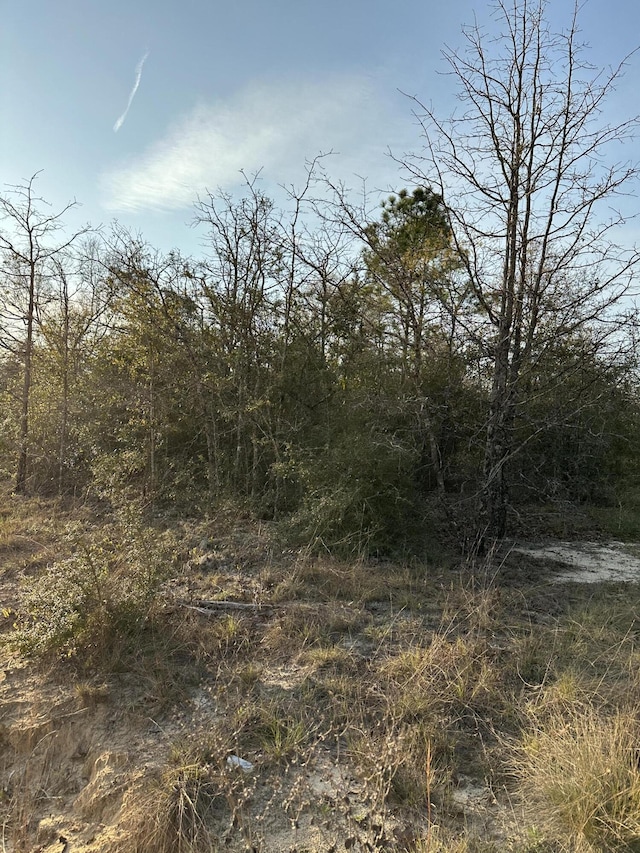 000 Deer Trl Ct, Defuniak Springs, FL 32433