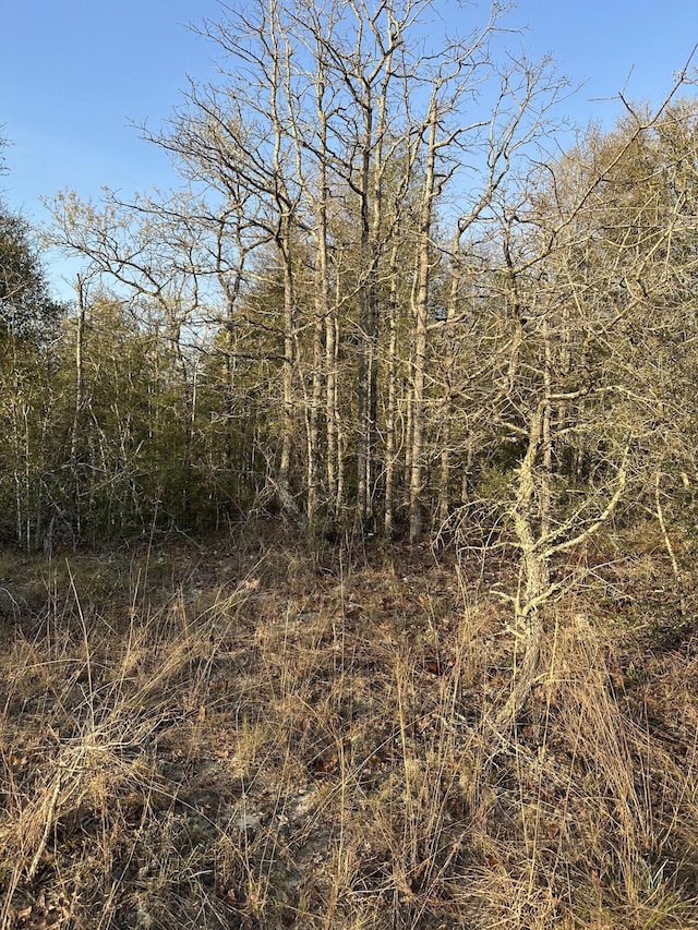 000 Deer Trl Ct, Defuniak Springs, FL 32433