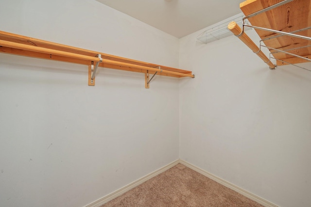 715 Presscott St, Crestview, FL 32536 - spacious closet with light colored carpet