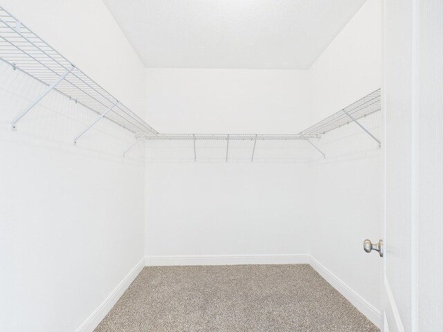 1013 Cocobolo Dr, Santa Rosa Beach, FL 32459 - photo 25
