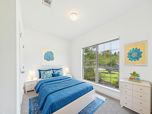 1013 Cocobolo Dr, Santa Rosa Beach, FL 32459 - photo 11