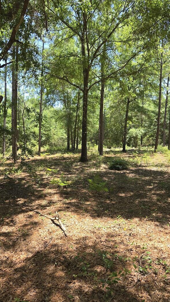 6045 Sand Hill Rd, Crestview, FL 32539