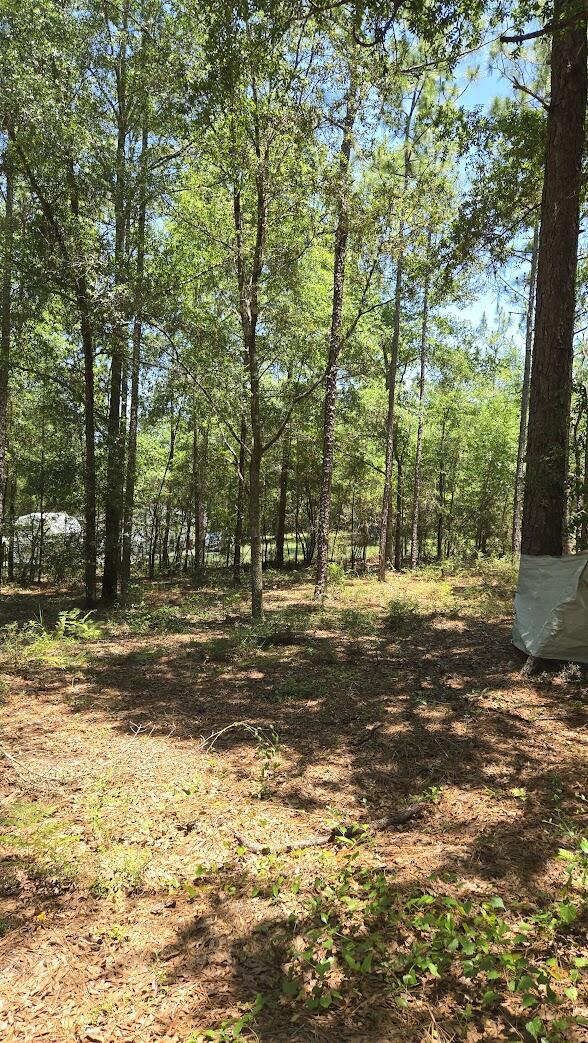 6045 Sand Hill Rd, Crestview, FL 32539