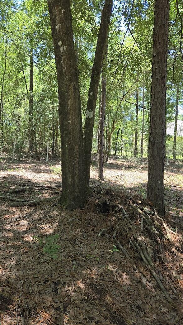6045 Sand Hill Rd, Crestview, FL 32539