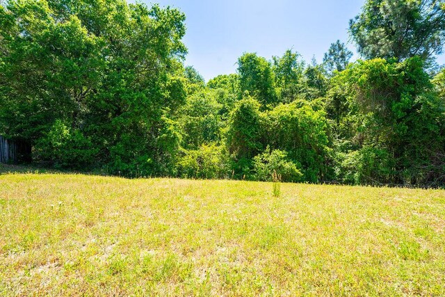 214 Southgate Dr, Crestview, FL 32539 - photo 27