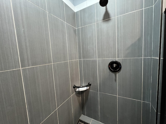 226 N Marsh Lndg, Freeport, FL 32439 - bathroom with tiled shower