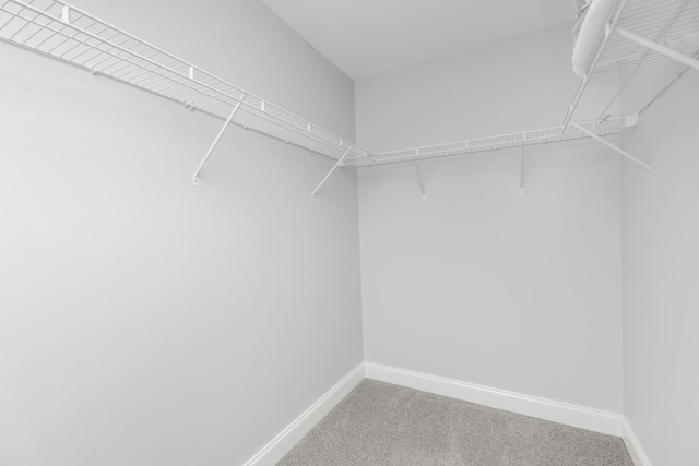 289 Mattie M Kelly Blvd, Destin, FL 32541 - spacious closet featuring carpet
