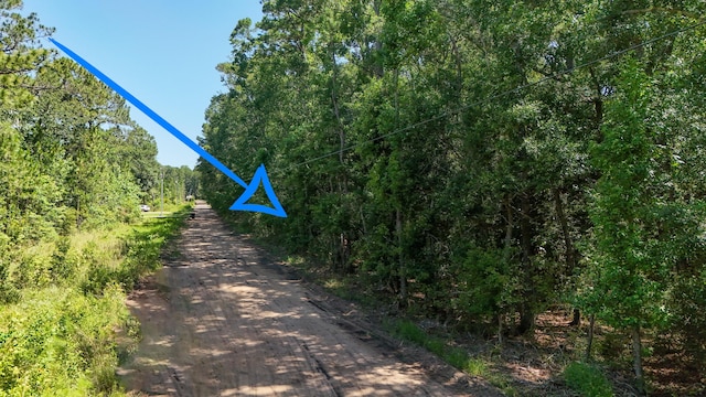 4.66ACRES Watson Rd, Freeport, FL 32439 - photo 7