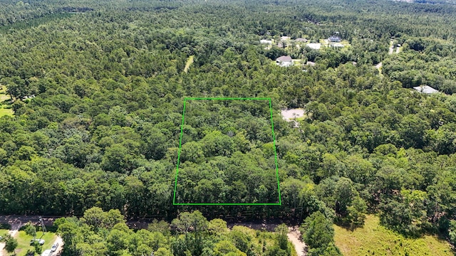 4.66ACRES Watson Rd, Freeport, FL 32439 - photo 3